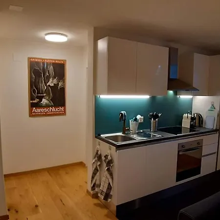 Ferienwohnung Meiringen