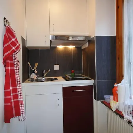 아파트 Ferienwohnung Meiringen