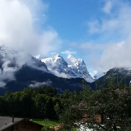 Ferienwohnung Meiringen 아파트 마이링겐