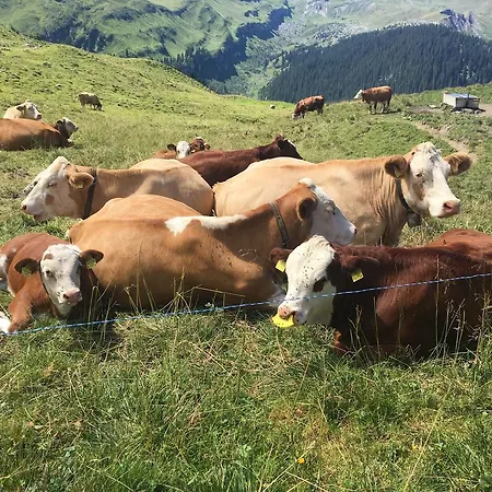 아파트 Ferienwohnung Meiringen *